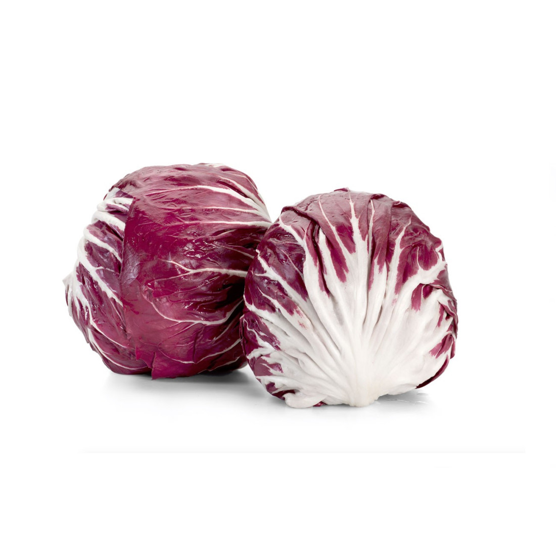 radicchio-tondo-di-chioggia-italia-rigo-ortofrutta-verona